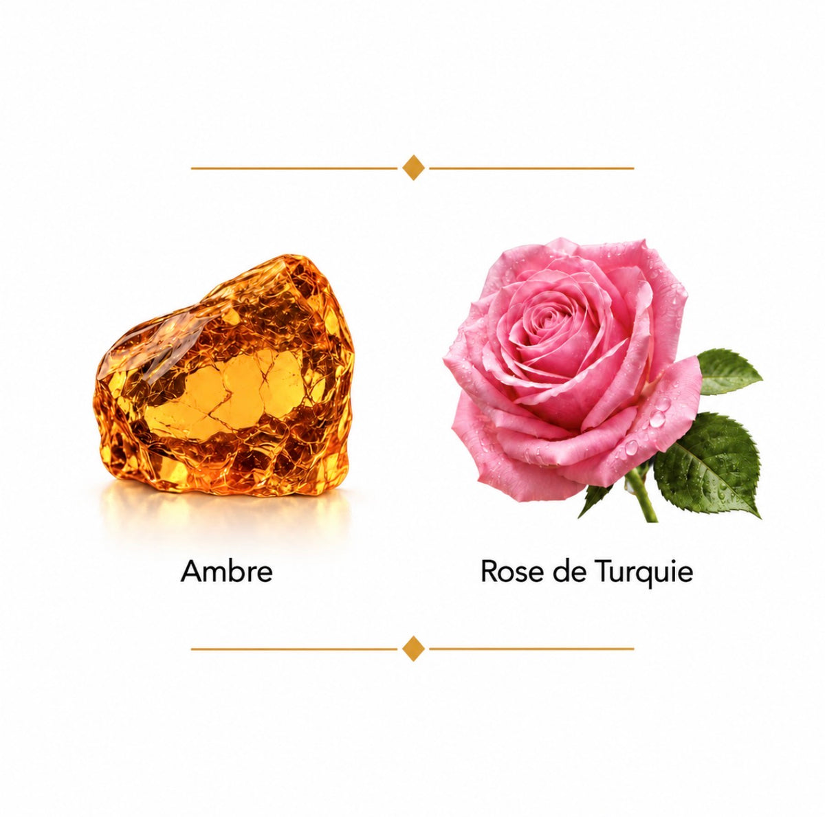 AMBRE NUIT