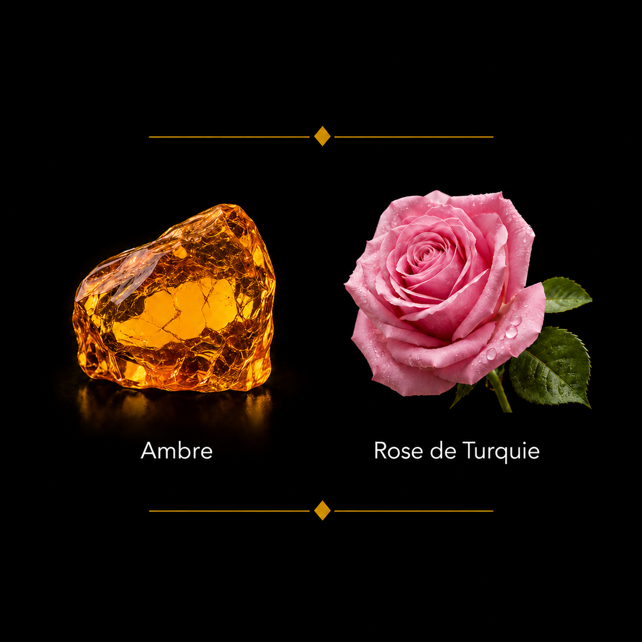 AMBRE NUIT