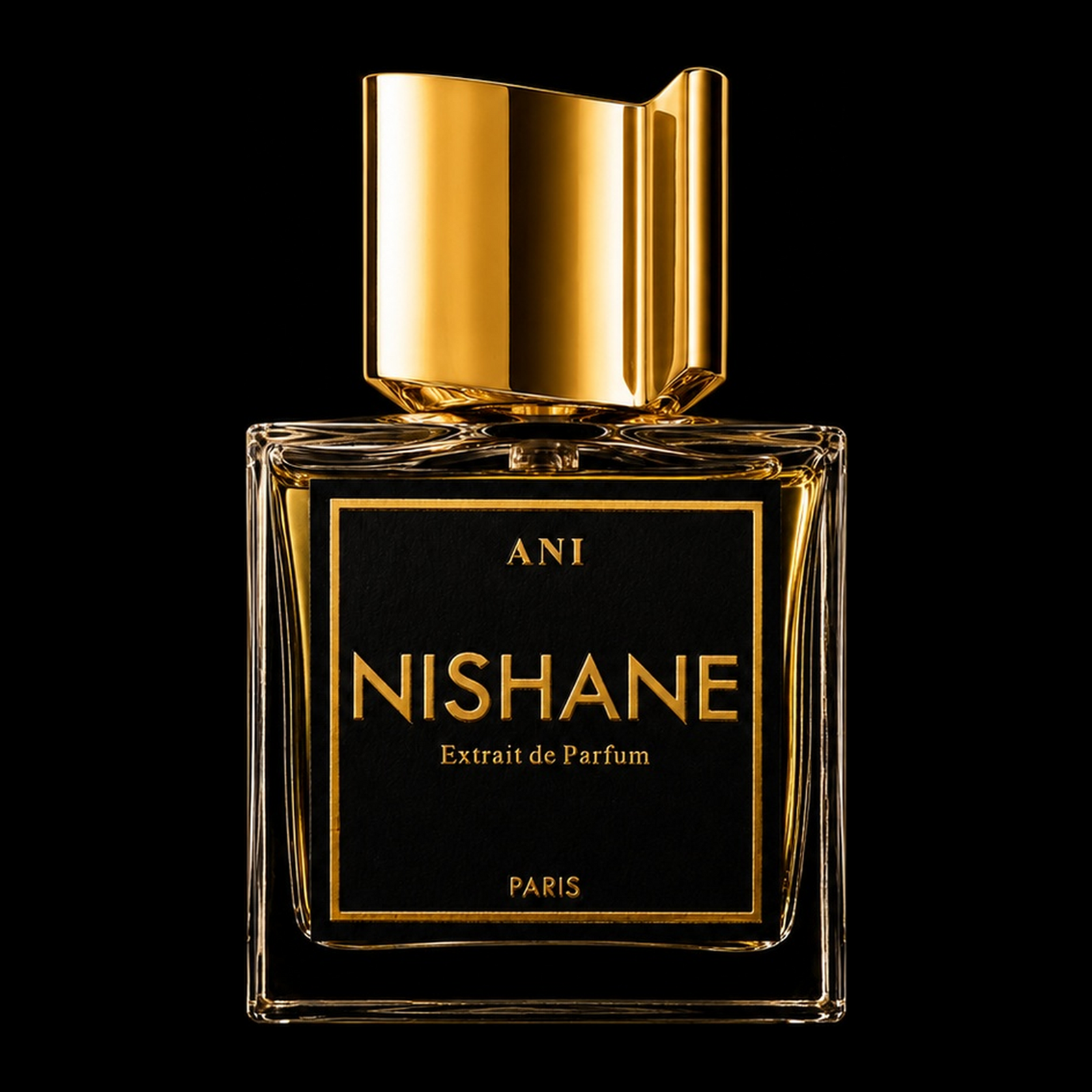 ANI